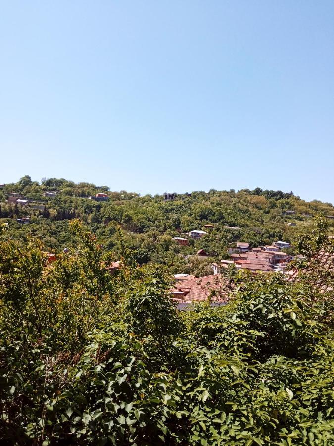 Kizikis Kari Hotel Сигнахи Екстериор снимка
