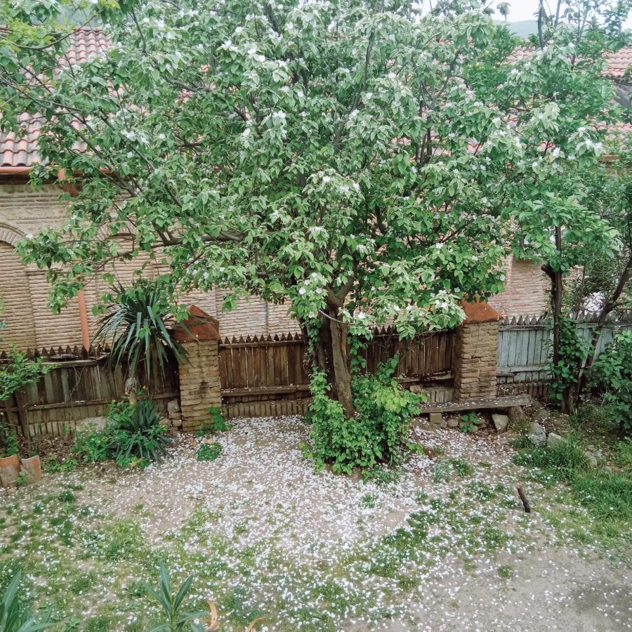 Kizikis Kari Hotel Сигнахи Екстериор снимка